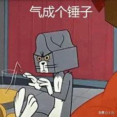 求求你们，放过网红粽子吧