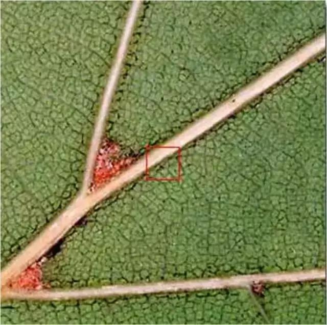 色即是空：这些图片看完后你还有什么想不通？