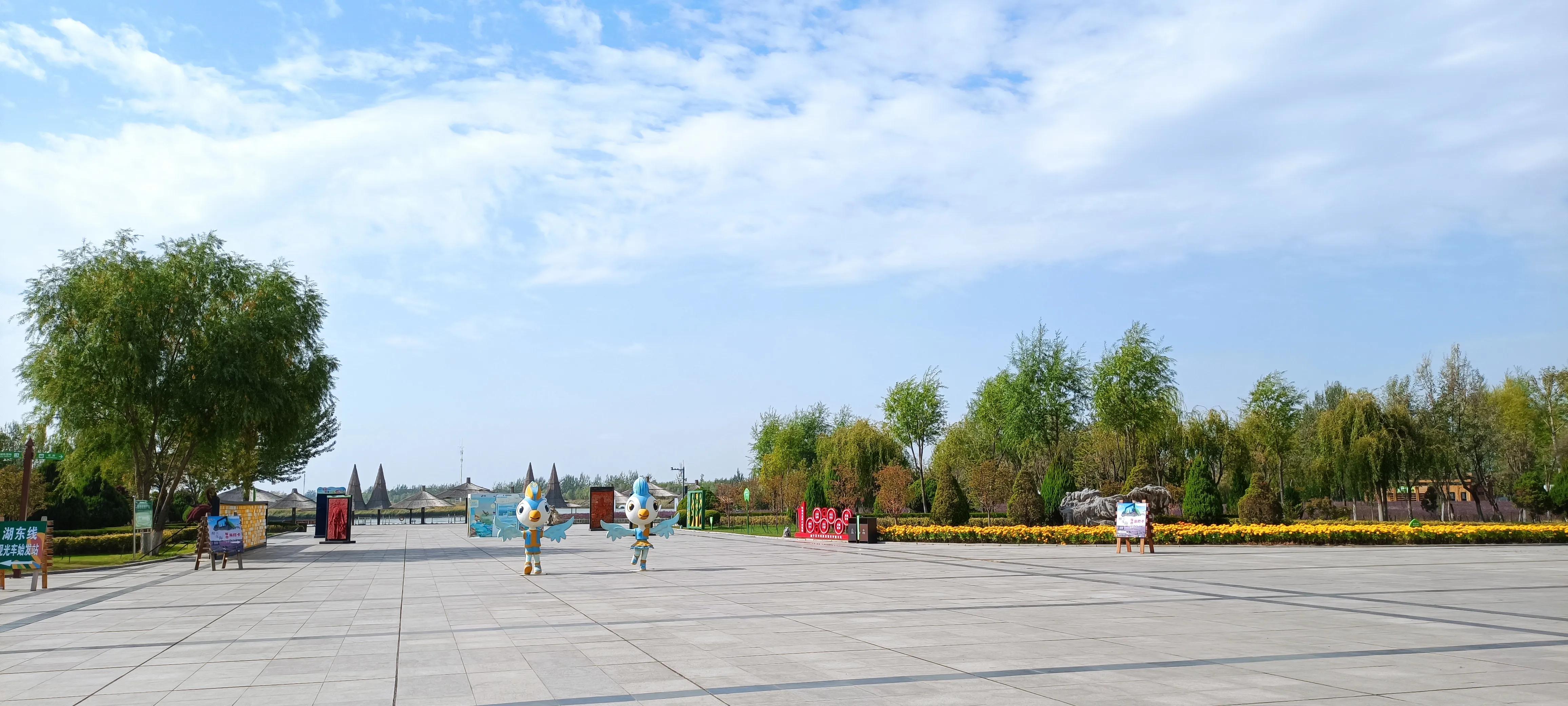 共享打印机无法连接的故障排除