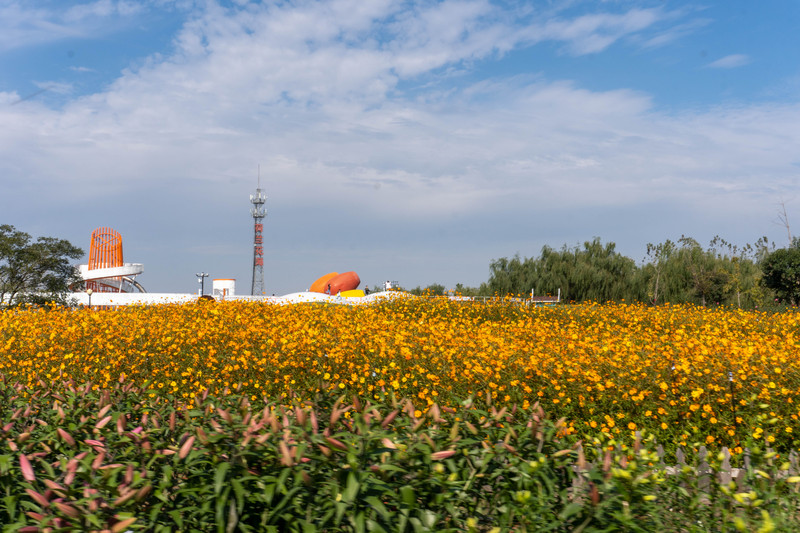 森林麋鹿公园,森林麋鹿