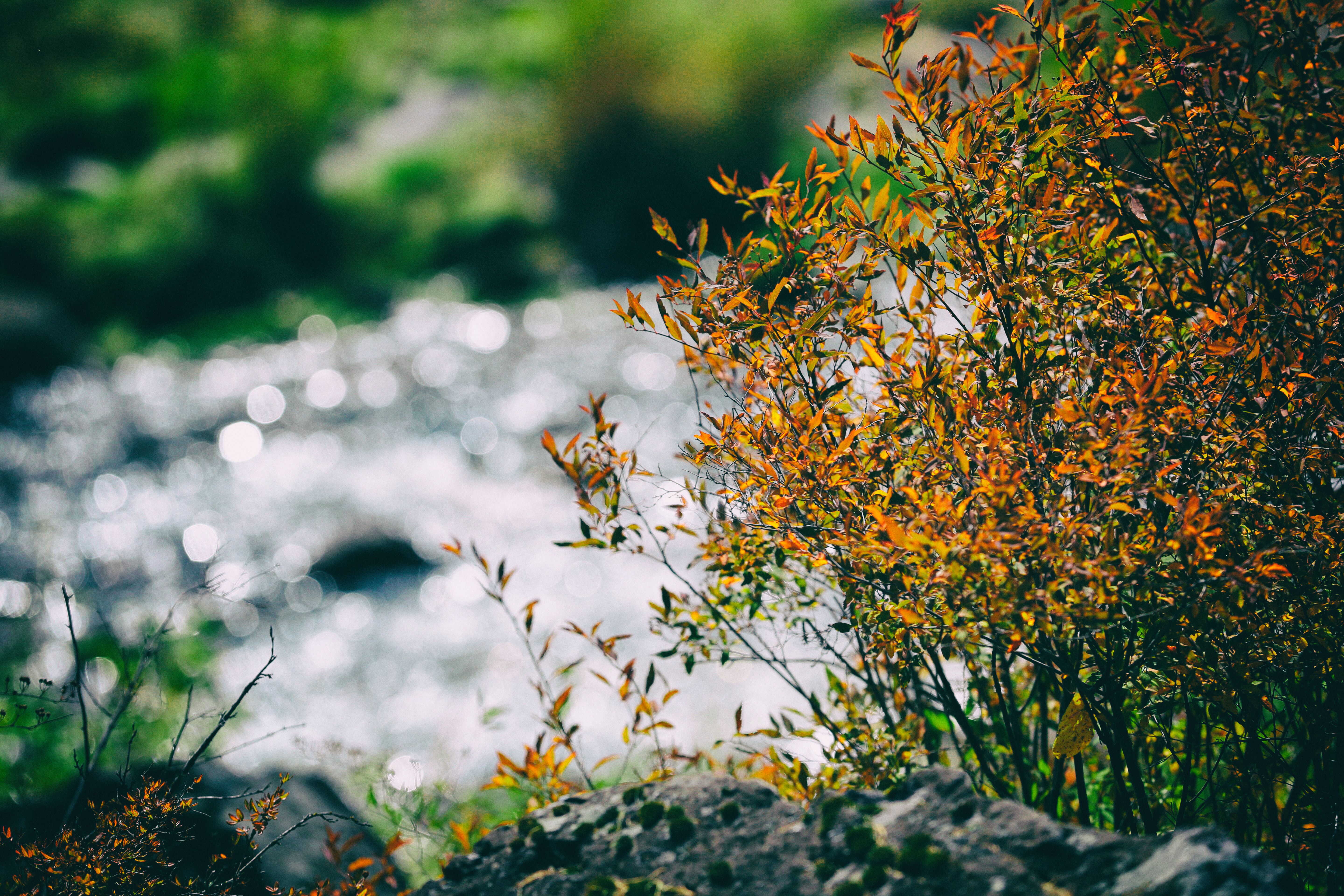被称为东方瑞士的地方,号称东方瑞士