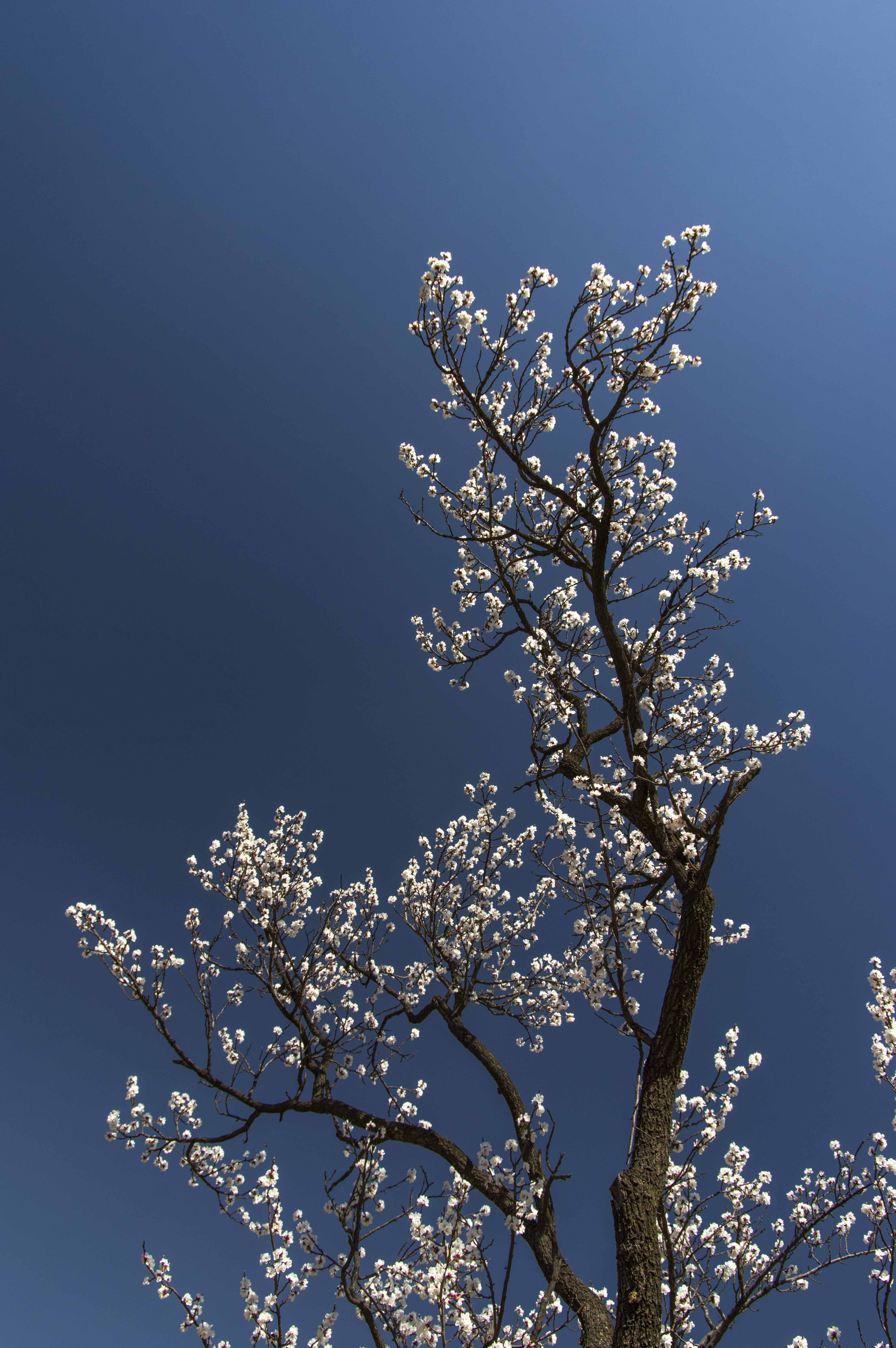 塞外江南处处是美景,塞外风光江南水乡
