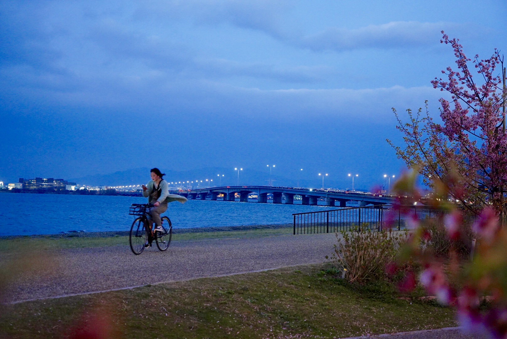 2019日本赏樱最新攻略|大津小众路线私家推荐