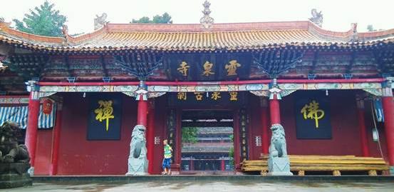 隋朝杨素和杨林是什么关系,靠山王杨林是谁的原型