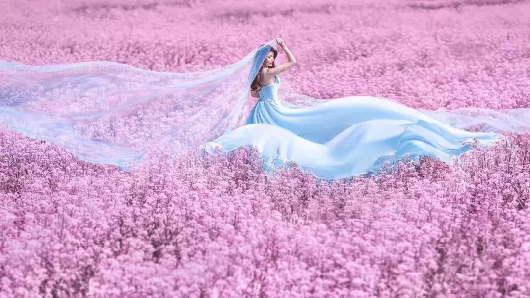 5套婚纱衣服怎么安排合适,婚纱照礼服男士5套是什么