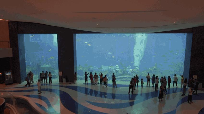 上九天揽月，下五洋捉鳖。看二孩老父亲如何带全家打卡亚特兰蒂斯