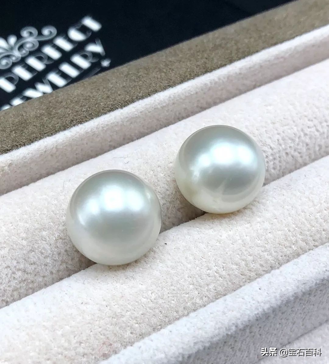 澳白珍珠和南洋金珍珠,澳白南洋白珍珠