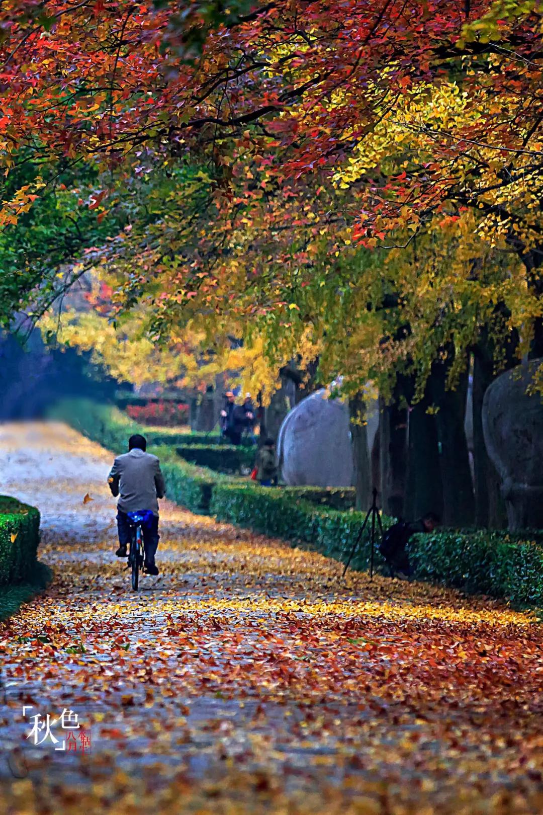 南京是属于哪个省的,南京是现在的哪个城市