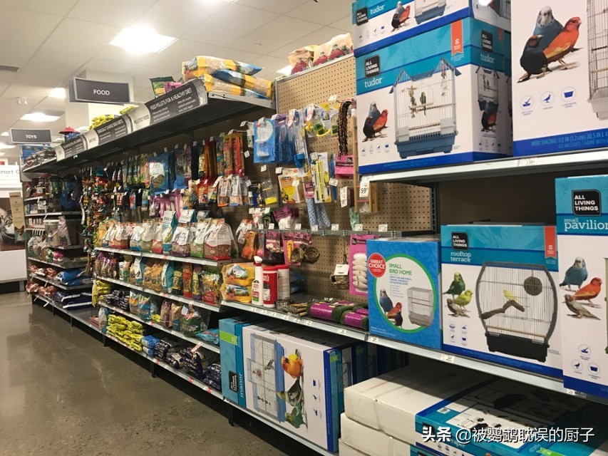 买了一对虎皮鹦鹉加零食鸟粮笼子结账1000块，是被商家坑了吗？