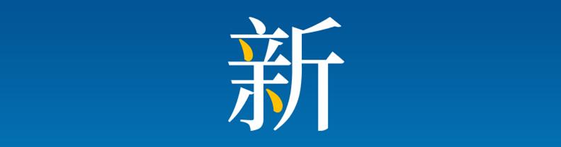 简单高级的党政ppt封面,党建ppt封面高大上