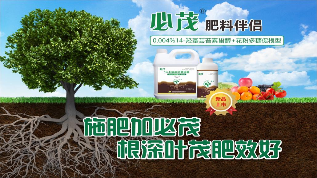 冬季辣椒怎么保温,冬天辣椒苗怎么防冻