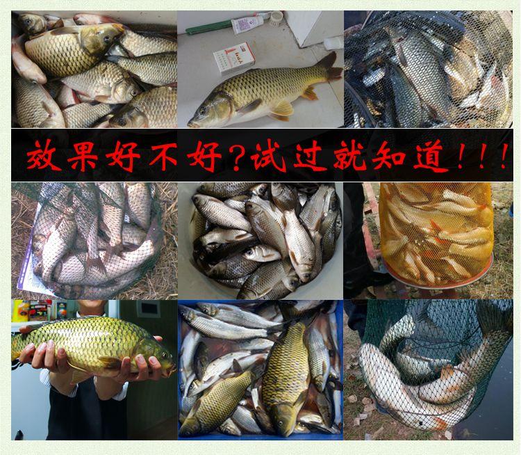 钓鱼小药dmpt使用方法,dmpt配什么东西有特效诱鱼作用