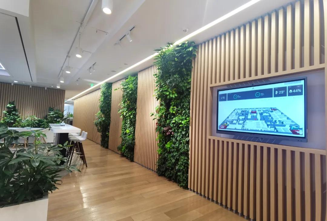 办公室植物墙装修,办公室装修什么墙最好