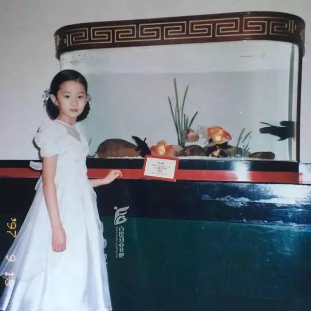 大美女刘晓莉：为了女儿刘亦菲，放弃了事业，丢掉了婚姻