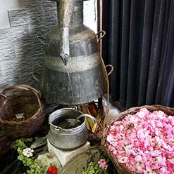 用了那么多年的纸巾你用对了吗,用了这么多年的牙膏你用对了么