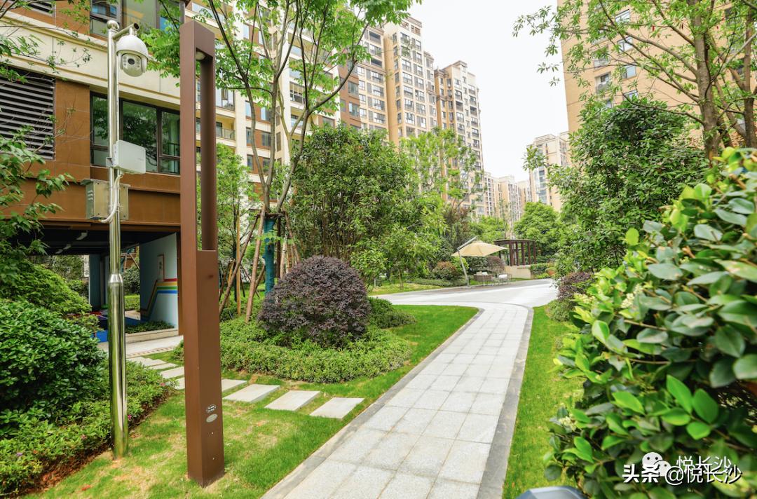 同价位，选精装现房or毛坯期房？还有德思勤商圈加持，近青园小学