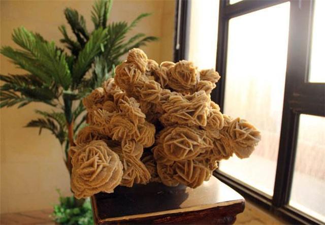 为何沙漠中看到石头一定要捡,沙漠发现值钱石头是什么