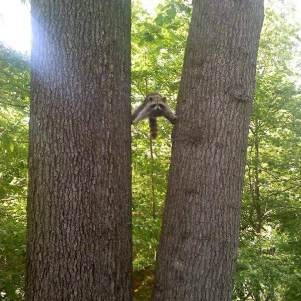 女孩为讨好男友服药丰胸，结果中毒了