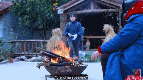 李子柒田园生活的魅力在哪里,当李子柒看到了不一样的田园生活