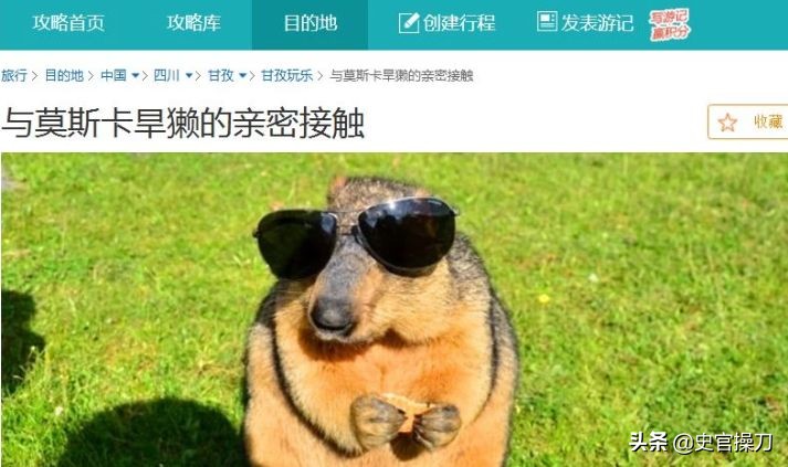 中国第一个诺贝尔奖提名的人,第一位诺贝尔奖的华人