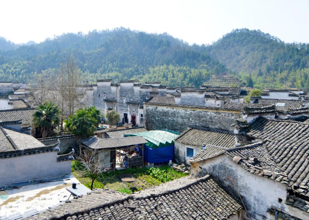 鍗冪櫨骞存潵缁忓吀鍙よ瘲,鍗冪櫨骞存潵鍙よ瘲