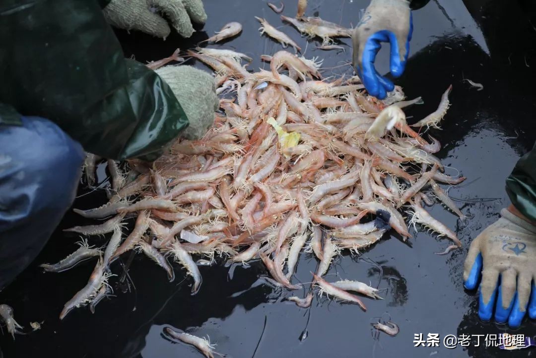 中国海鲜地图,中国海鲜最多地区