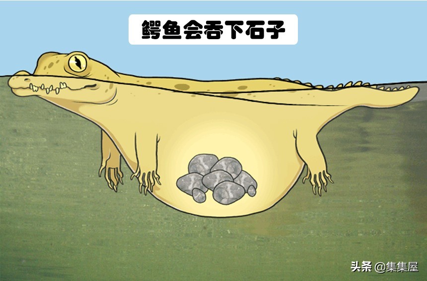 生物学的惊天大秘密,你不可不知的五十个生物学知识