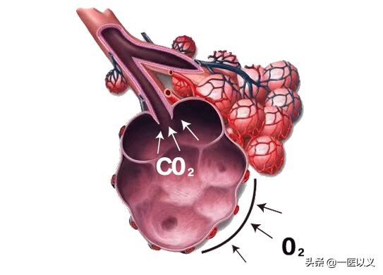 肺气肿慢阻肺最佳治疗方案,慢阻肺肺气肿稳定期怎么治疗