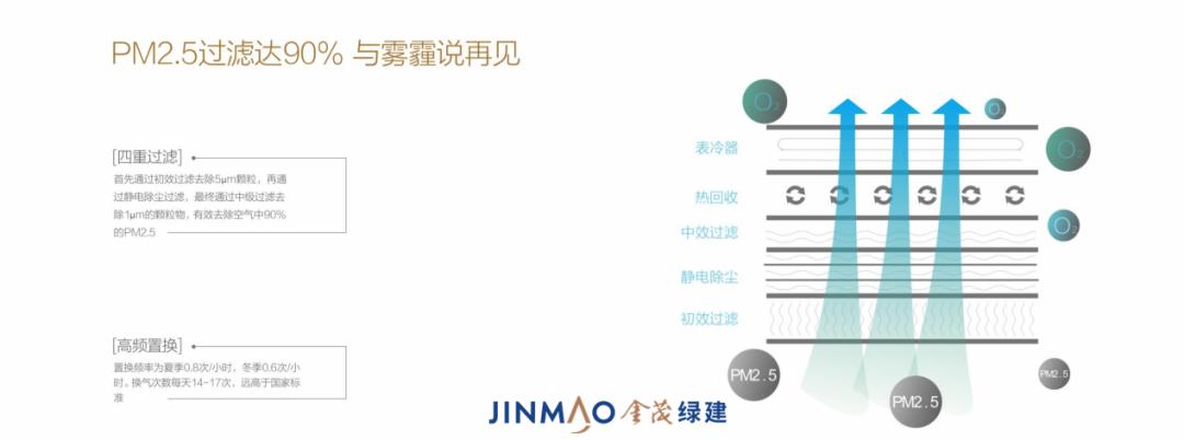 无惧狂沙卷土重来，金茂绿建为家筑起“绿色长城”