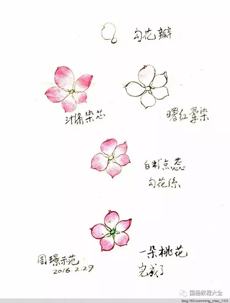 工笔画花鸟入门教程步骤图,国画教学工笔花鸟燕子的重彩画法