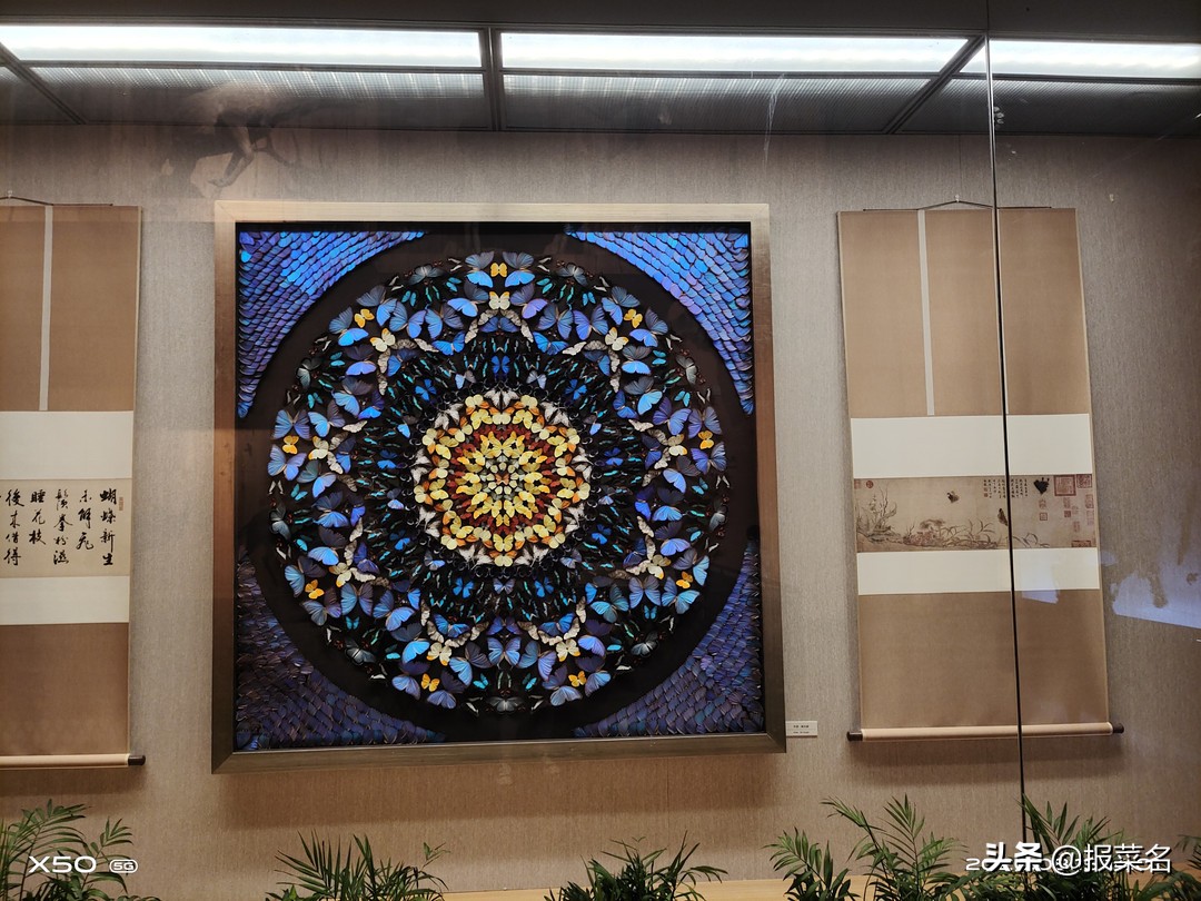 螃蟹虾扇贝,海鲜自助螃蟹和大扇贝