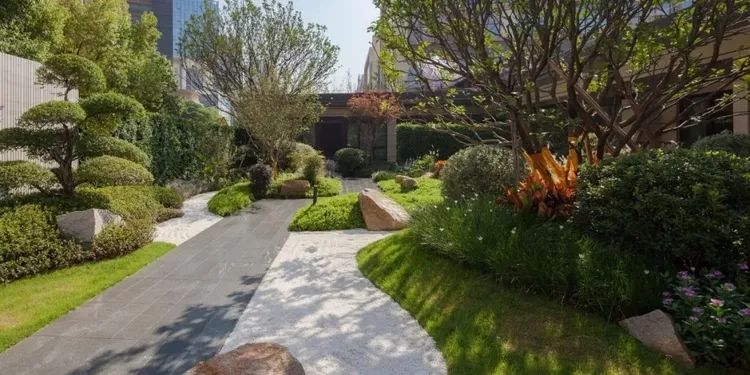 居住区植物景观设计原则,景观设计干货