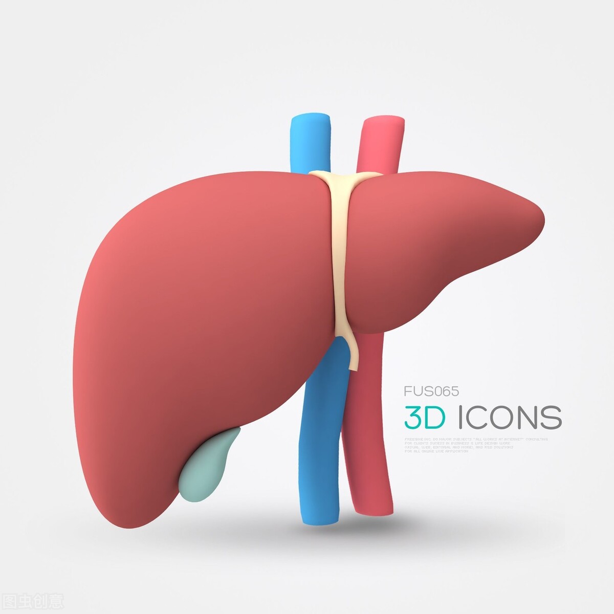 乙肝大三阳看中医还是西医,乙肝大三阳都要检查哪几项