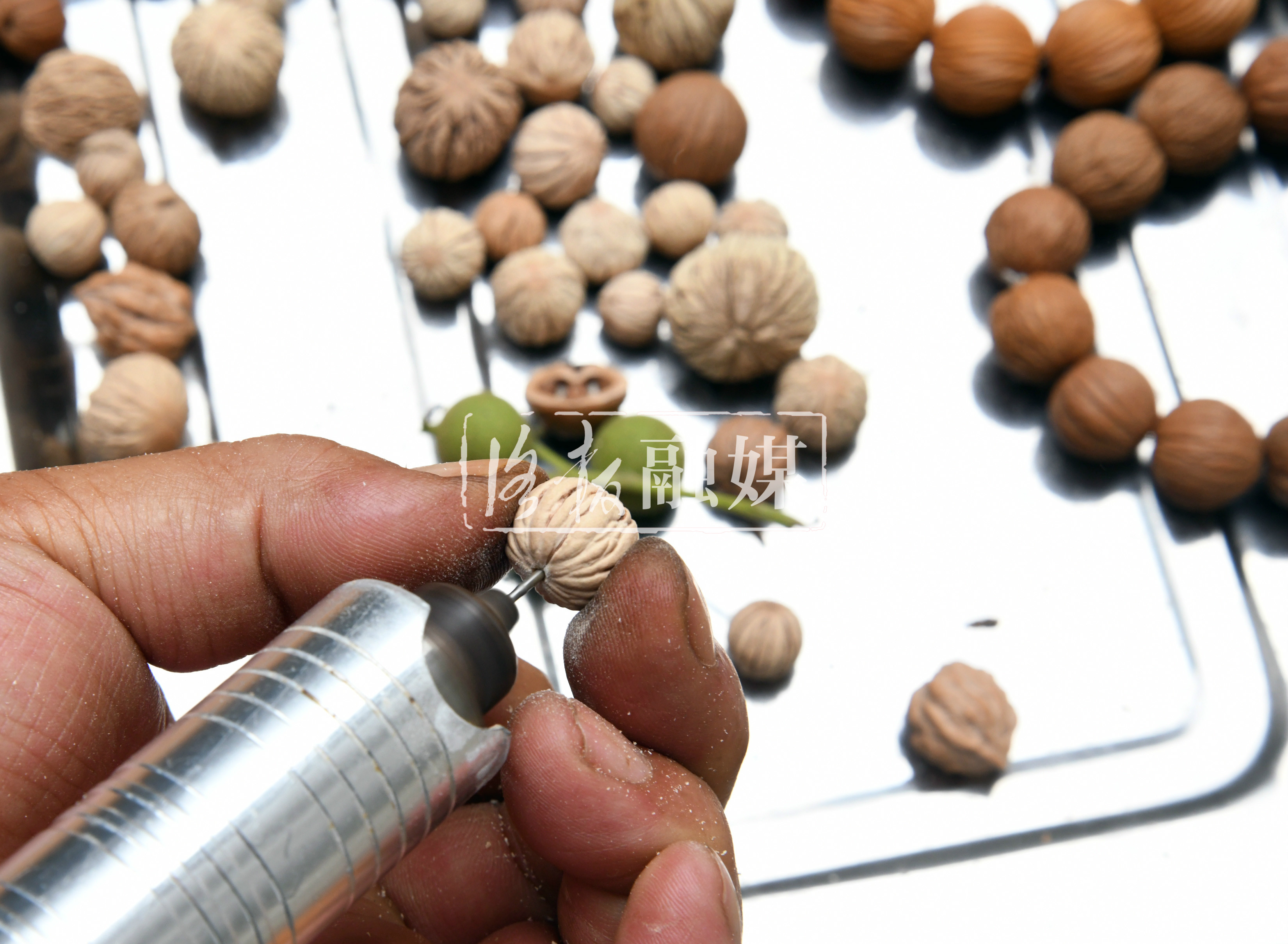 荒山种植核桃前景好,小核桃长成富民大产业