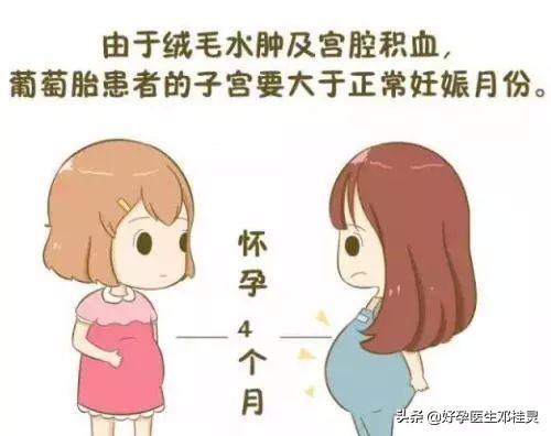 葡萄胎后一年半会怀上葡萄胎么,葡萄胎后还会怀上葡萄胎吗