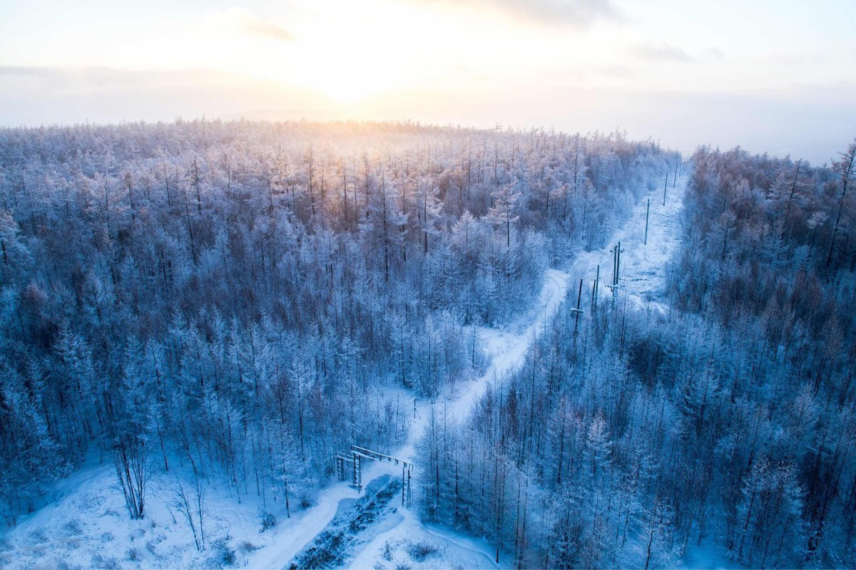 吉林好大米推荐,吉林好吃的大米品牌
