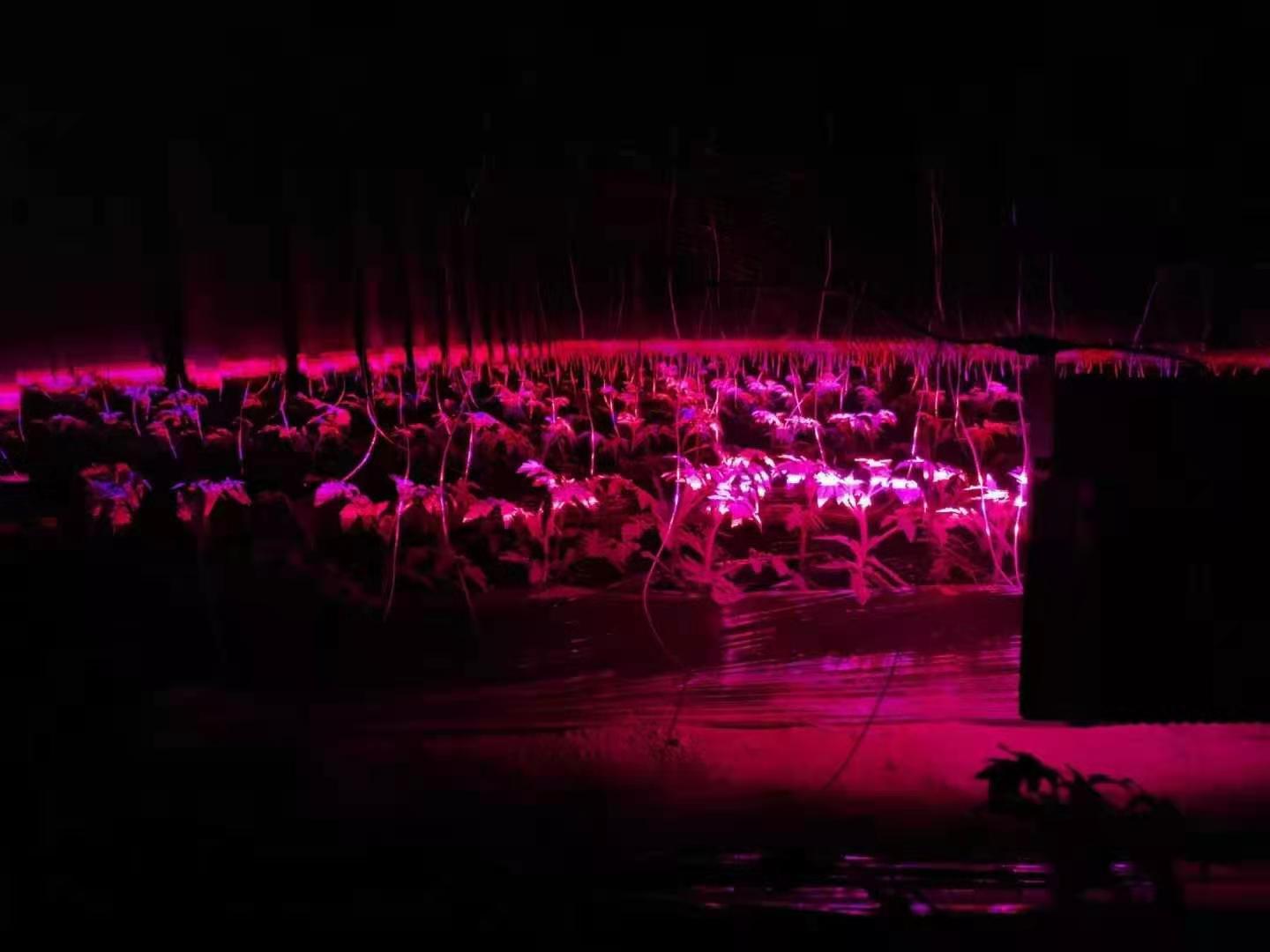 农村养鱼10个赚钱方法,农村养鱼赚钱的方法和技巧