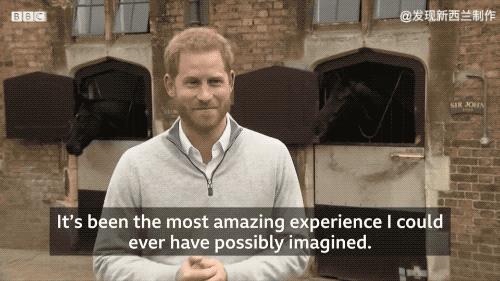 英国王室梅根生了吗,哈里王子梅根生了吗