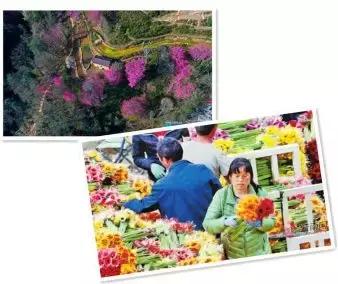 既然春天留不住就迎接夏天吧,既然春天留不住