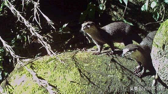 五月的最后一天是星期几,五月的第三个星期天是什么节日