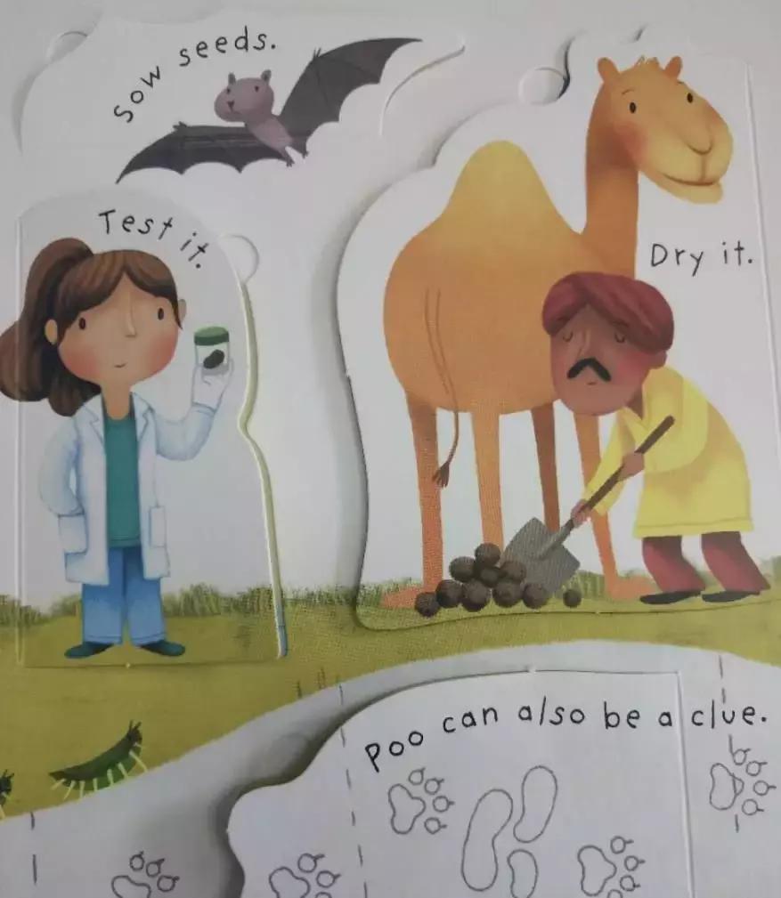 孩子感兴趣的永远是屎尿屁绘本,屎尿屁绘本好吗