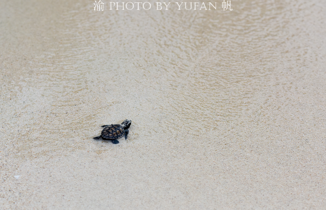 印度尼西亚巴厘岛一日游攻略,巴厘岛与雅加达旅游攻略