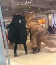 gif动图高清制作,gif动图为什么没声音