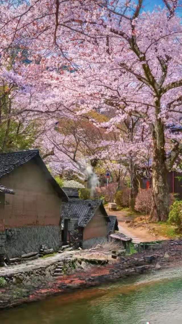 典故诗话258食蔗从梢佳境渐入