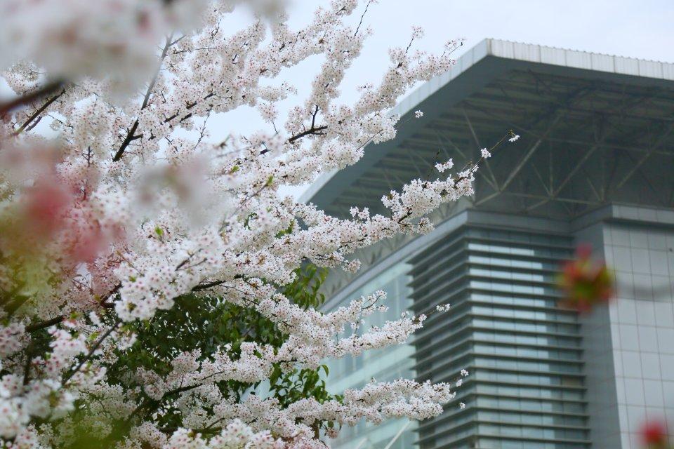 南京信息工程大学进了国优计划,南京信息工程大学综评条件