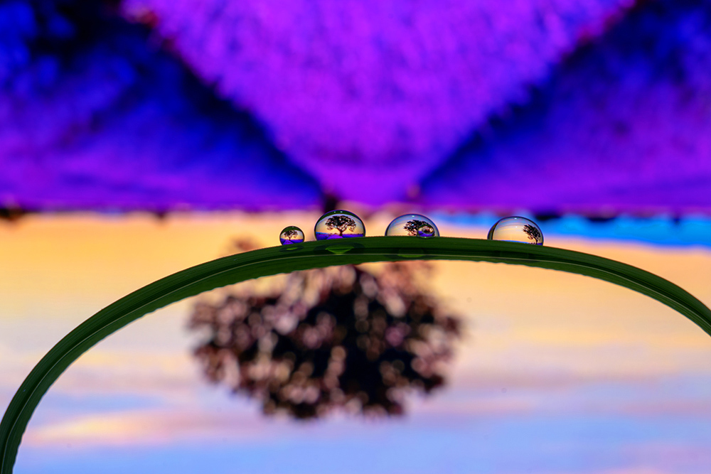 摄影后期必须要修图吗,摄影后期算不算作假