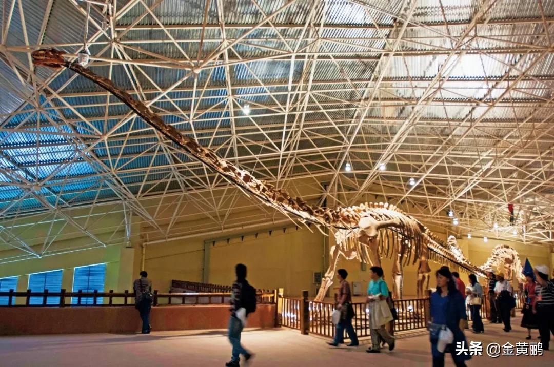 为什么云南女人长相好看,云南真的很漂亮吗