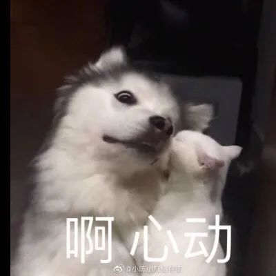 mac城市限定,mac城市限定口红小样