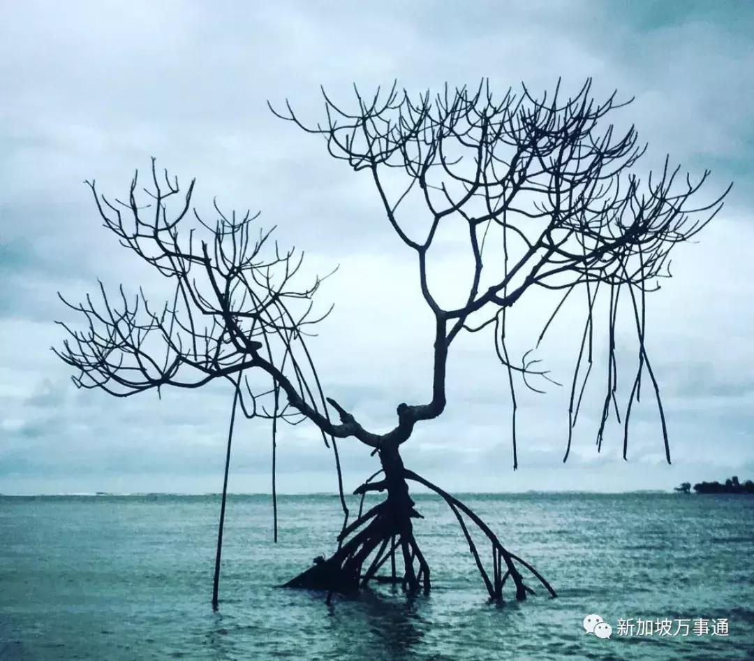 2019年十大最美海岛,2018最值得去的海岛