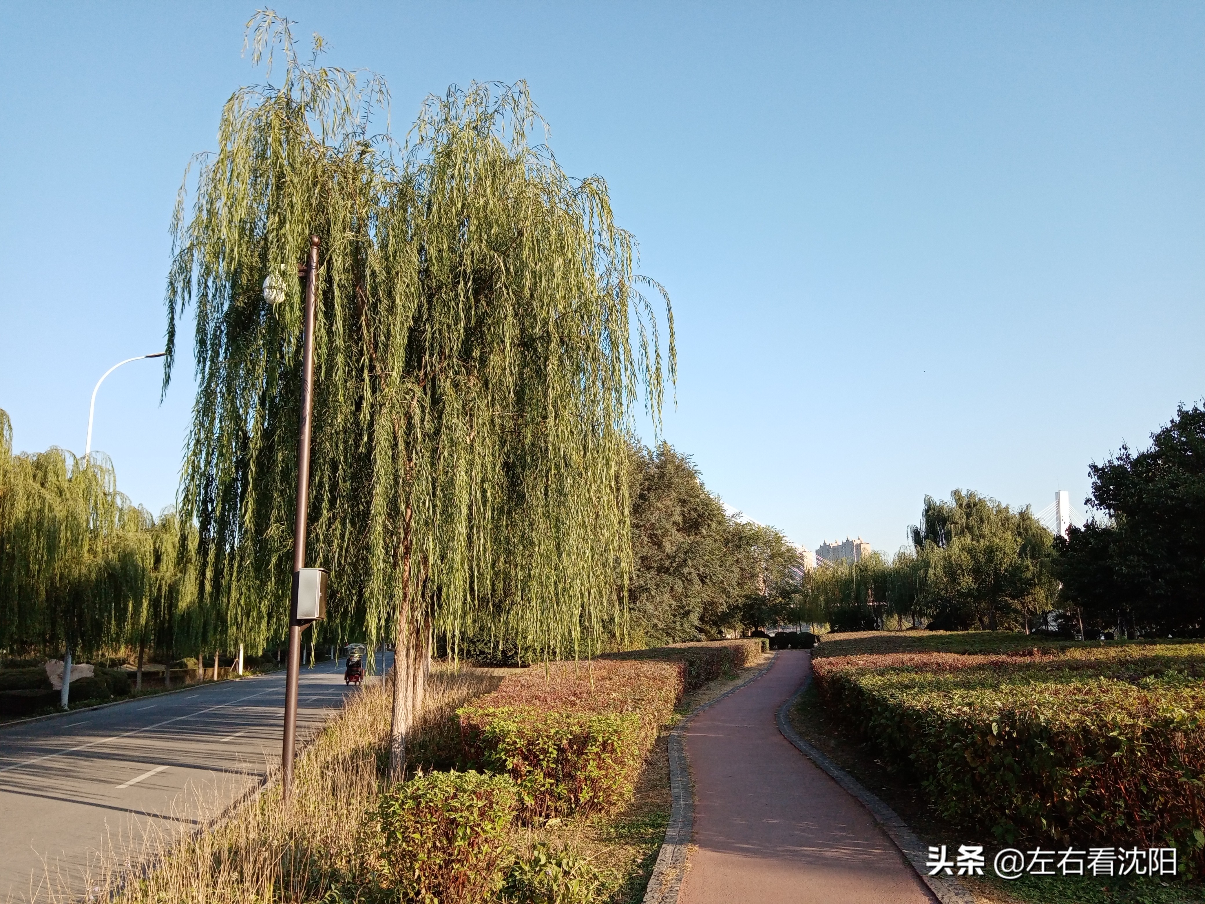 沈阳五里河公园攻略,沈阳五里河公园现在开吗